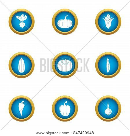 Vegetable Boom Icons Set. Flat Set Of 9 Vegetable Boom Vector Icons For Web Isolated On White Backgr
