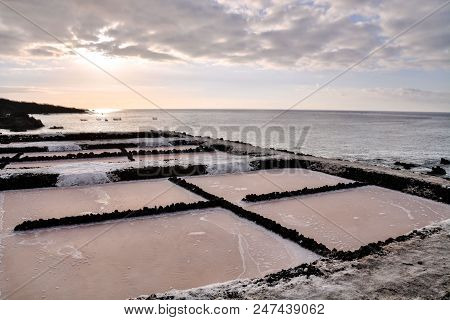 Picture Photo Of Salt Flats In The Canry Islands