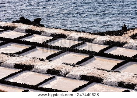 Picture Photo Of Salt Flats In The Canry Islands