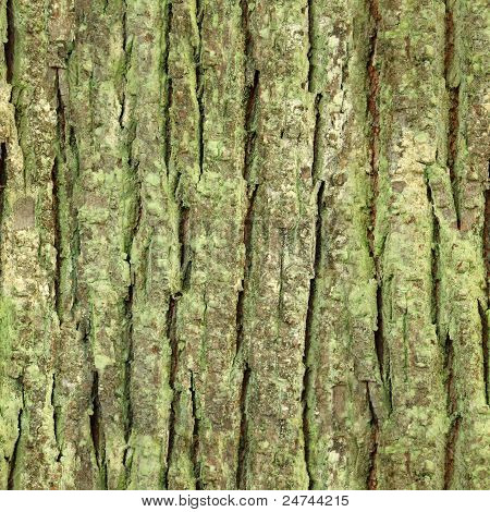 sömlös Barken, svål konsistens