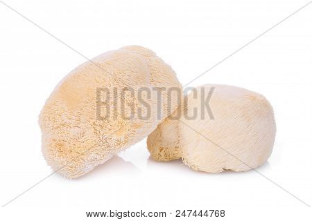Mokey Head Mushroom , Lion Mane Or Yamabushitake Isolated On White Background
