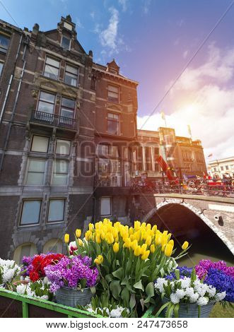 Amsterdam City Skyline At Canal Waterfront With Spring Tulip Flower, Amsterdam, Netherlands.