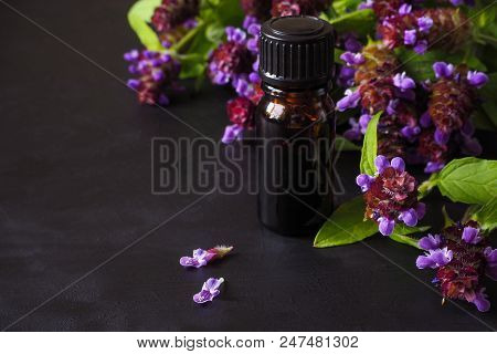 Medicinal Herb. Common Self Heal (prunella Vulgaris) Scented Oil.