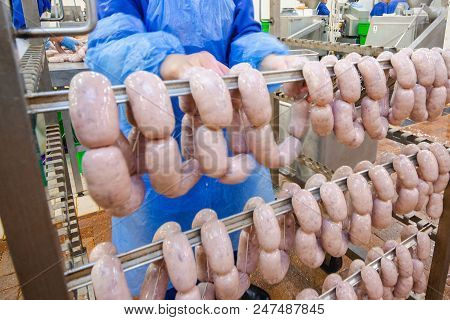 Sausage. Sausage Production Line. Process Of Sausage Manufacturing. Industrial Manufacturing Of Saus