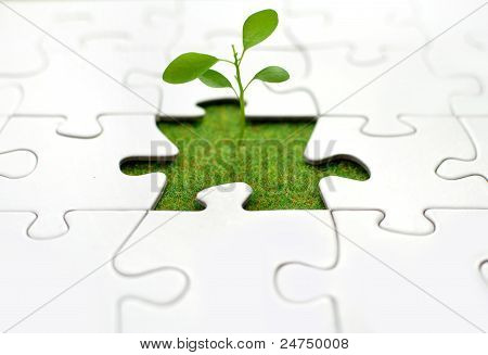 Rostlin puzzle