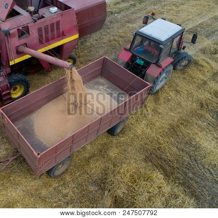 Combine Harvester And Tractor Working In Wheat Field