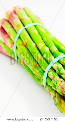 Fresh Green Asparagus Sprout Tops, Tied With A Thread. A Bound Bunch Of Three Asparagus Stems, Isola