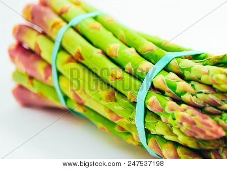 Fresh Green Asparagus Sprout Tops, Tied With A Thread. A Bound Bunch Of Three Asparagus Stems, Isola