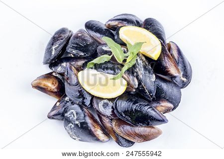 Seafood; Stuffed Mussels (midye Dolma), Mediterranean Cuisine