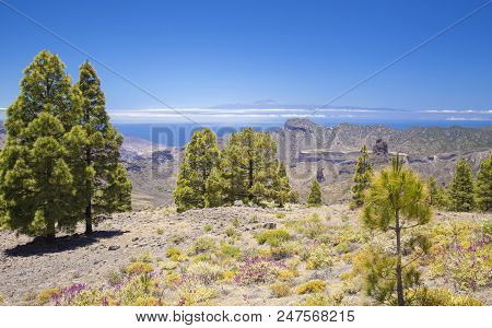 Gran Canaria, View From Las Cumbres, The Highest Areas Of The Island, Towards Teide On Tenerife