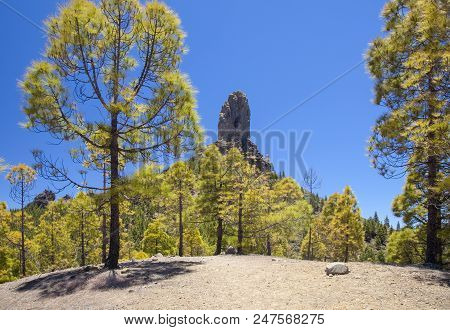 Gran Canaria, View From Las Cumbres, The Highest Areas Of The Island, Towards Teide On Tenerife