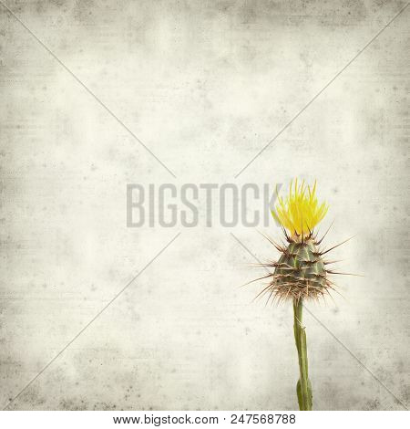 Textured Old Paper Background