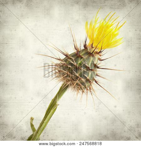 Textured Old Paper Background