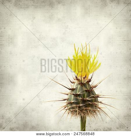 Textured Old Paper Background