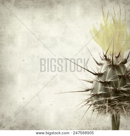 Textured Old Paper Background