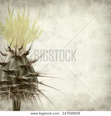 Textured Old Paper Background