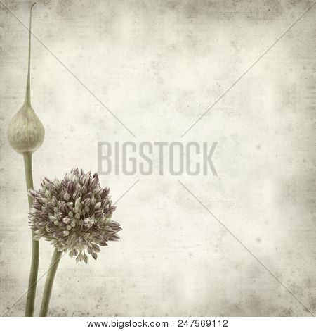 Textured Old Paper Background