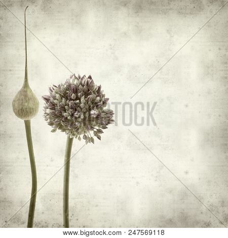 Textured Old Paper Background