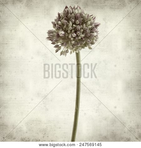 Textured Old Paper Background