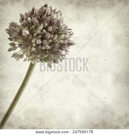 Textured Old Paper Background