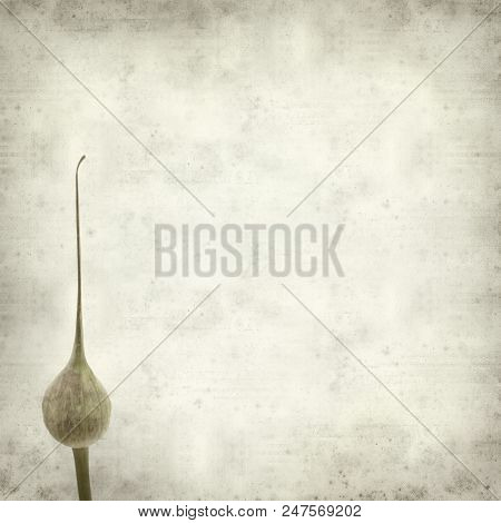 Textured Old Paper Background