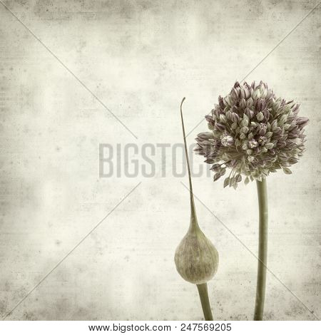 Textured Old Paper Background