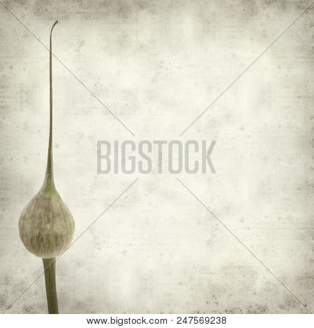 Textured Old Paper Background