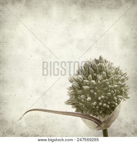 Textured Old Paper Background
