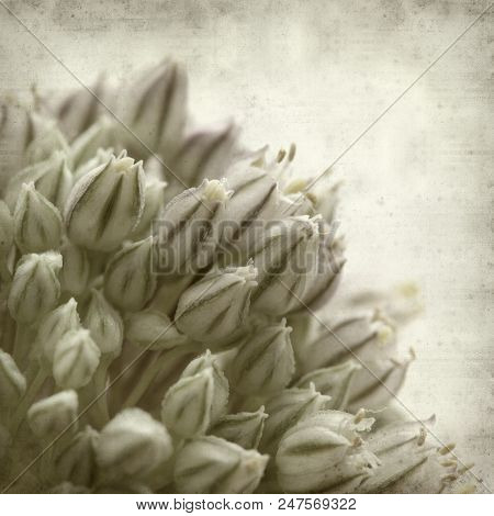Textured Old Paper Background