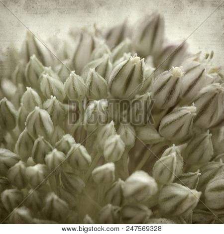 Textured Old Paper Background