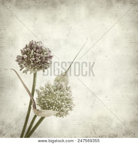 Textured Old Paper Background