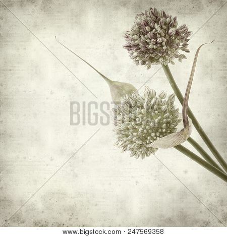 Textured Old Paper Background