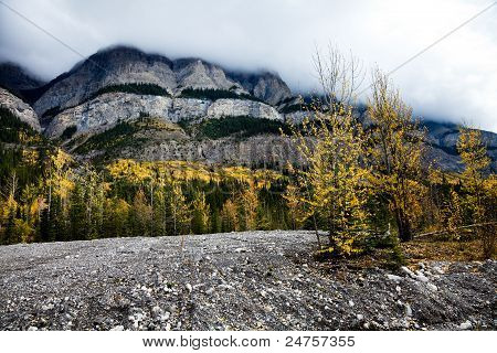 Rocky Mountain