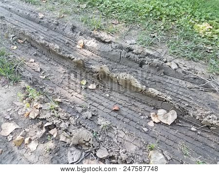Tire Tracks Or Marks In The Mud Or Dirt