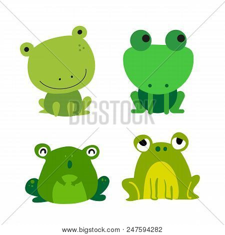 Frogs Vector Collection Design, Frogs Colllection Design