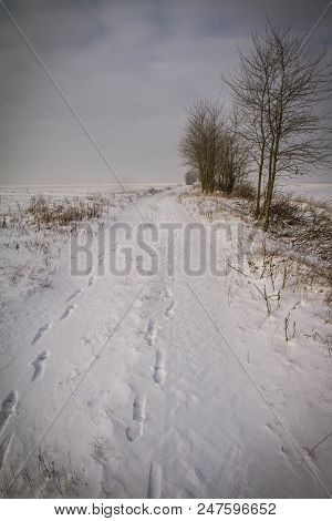Winter landscape in the Podlasie region of Poland
