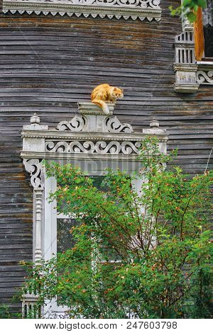 Furry Red Cat On The Background Of A Wooden Old House