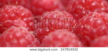 Fresh And Sweet Raspberries Background. Shallow Dof