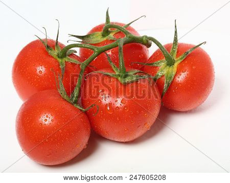 Fresh Organic Tomatoes On White Background. Top View
