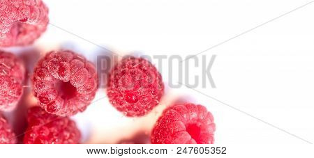Dripping Raspberry On White Background. Close-up Photo.