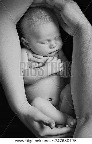 Portrait Of Newborn Baby Lying On The Hands Of Parents. The Concept Of Newborn Health