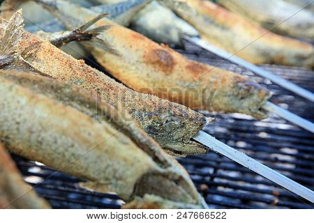 Fresh Mackerel On Stick At Barbecue Party. Germany