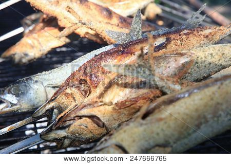 Fresh Mackerel On Stick At Barbecue Party. Germany