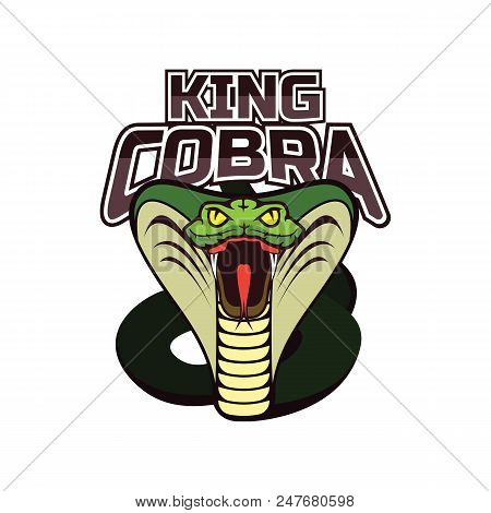 Snake Logo For Your Business, Vector Illustration