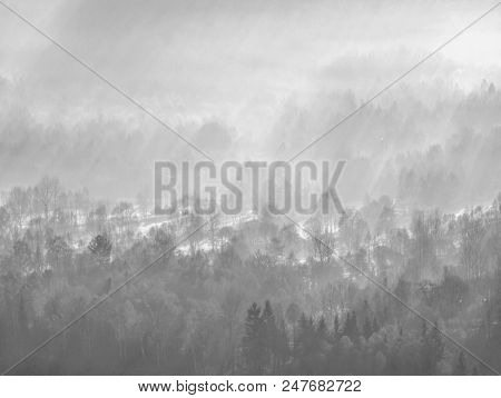 The Misty Land. High Trees And Hill Peaks Increased From Thick Fog. The First Sun Rays Create Sharp 