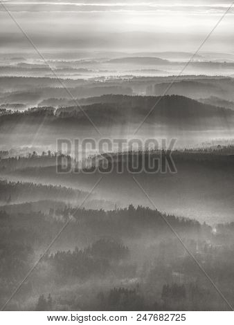 Dreamy Landscape Lost In Thick Fog. Fantastic Morning Glowing By Gentle Sunlight, Foggy Valley. Blur