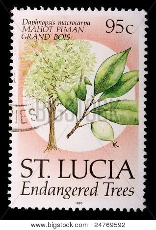 Un francobollo di 95 centesimi stampato In Saint Lucia