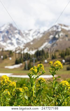 Mountains Of The Zailiysky Alatau In Summer Near Almaty, Kazakhstan