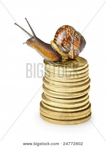 Caracol em moedas de ouro