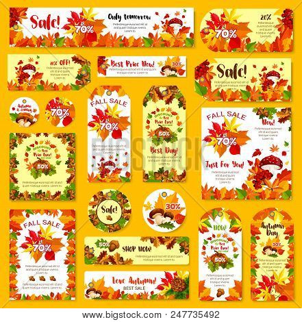Autumn Sale Price Off Vector Photo Free Trial Bigstock